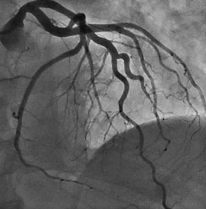 Captura_de_Tela_2018-05-17_às_9.37.25_AM