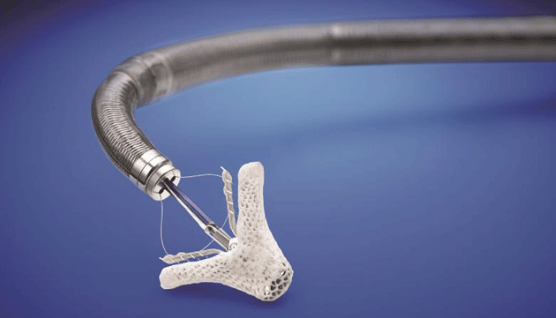 Captura_de_Tela_2018-07-23_às_1.13.13_PM