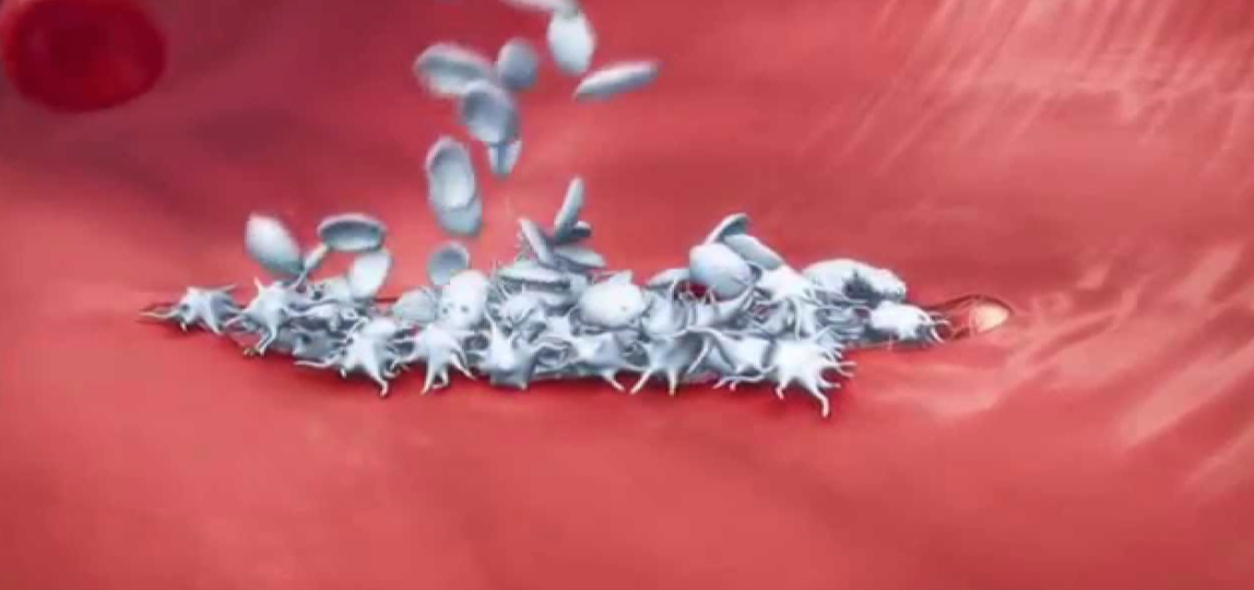 Captura_de_Tela_2018-10-08_às_20.50.23