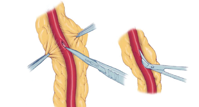 Captura_de_Tela_2018-12-11_às_2.48.50_PM