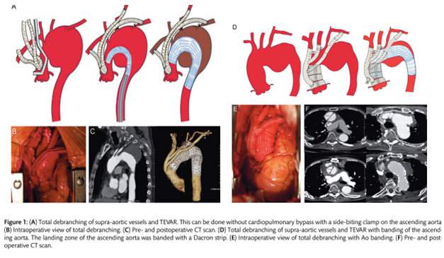 Captura de tela inteira 25012019 083711