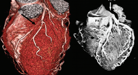 Captura_de_Tela_2019-02-05_às_11.25.27_AM