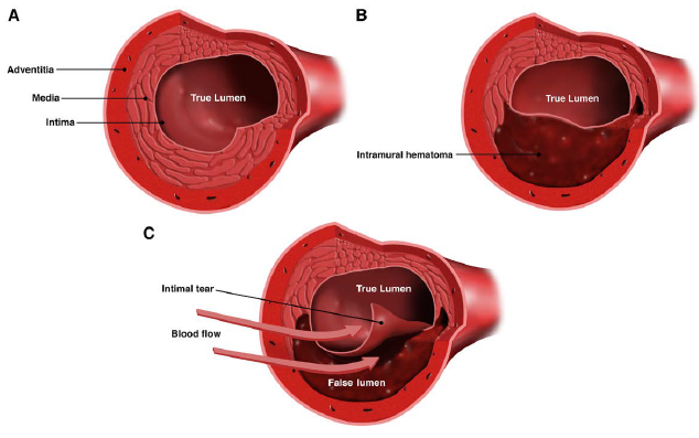 Captura_de_Tela_2019-03-05_às_7.45.45_PM