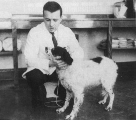 1-s2.0-074152149390250P-gr3