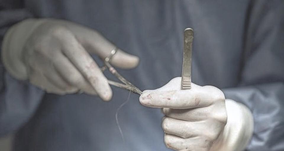 36314763_10216107382866869_563742477966639104_n