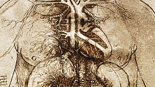 _75889740_leonardo_female_anatomy_edited