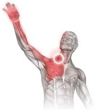 Captura de Tela 2019-07-25 às 21.10.55