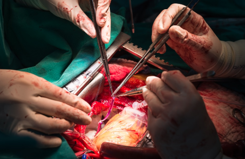 Captura de Tela 2019-08-19 às 13.54.03