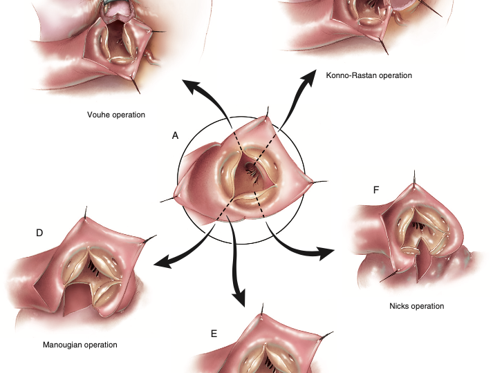 Captura de Tela 2021-02-05 às 11.46.51